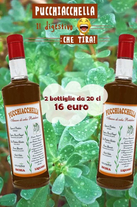 Amaro Pucchiacchella 70cl